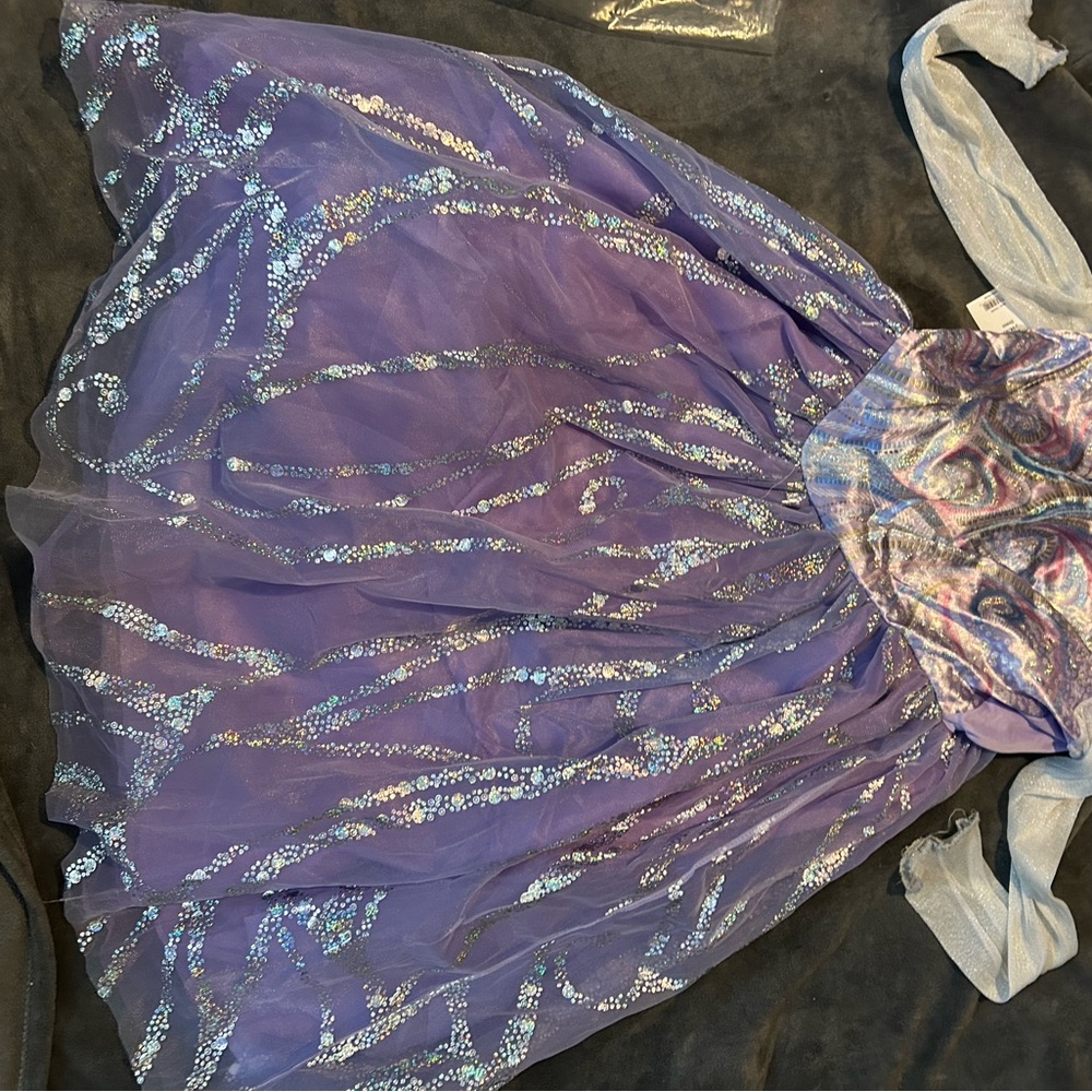 Elegant Purple and Silver Dance Dress